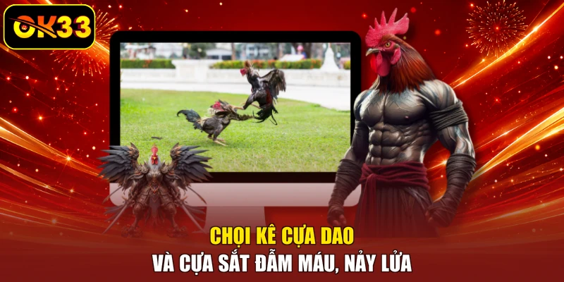 Chọi kê cựa dao và cựa sắt đẫm máu, nảy lửa